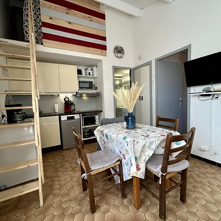 Apartment 2 Pieces Mezzanine Climatise Avec Terrasse - 450m De La Plage, Parking Inclus, Cyprien - Fr-1-225d-149 Saint-Cyprien (Pyrenees-Orientales)