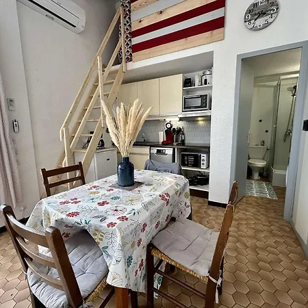 Apartment 2 Pieces Mezzanine Climatise Avec Terrasse - 450m De La Plage, Parking Inclus, Cyprien - Fr-1-225d-149 *
